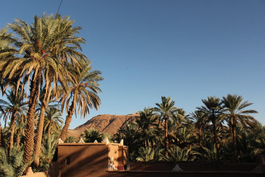 Riad Dar Zaouia ซากอร่า ภายนอก รูปภาพ