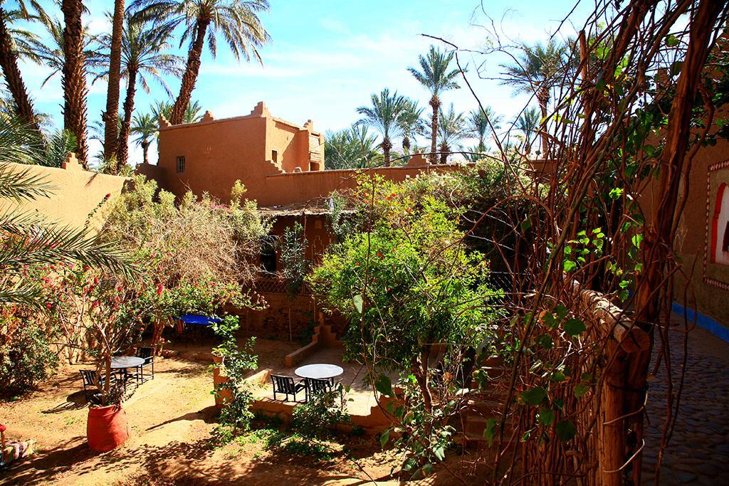 Riad Dar Zaouia ซากอร่า ภายนอก รูปภาพ