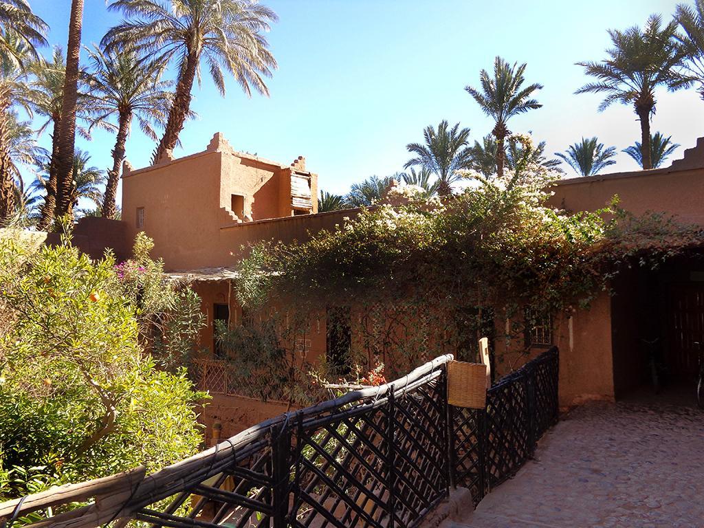 Riad Dar Zaouia ซากอร่า ภายนอก รูปภาพ