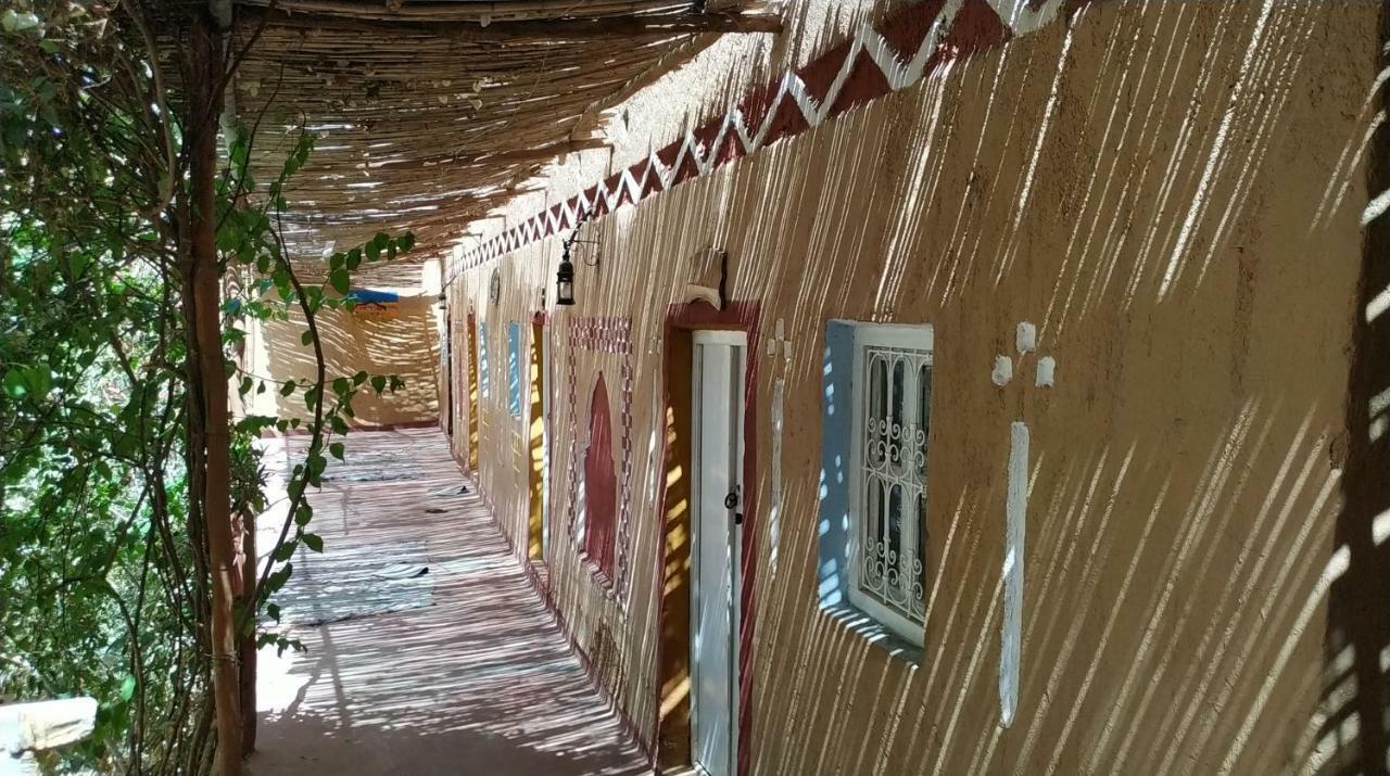 Riad Dar Zaouia ซากอร่า ภายนอก รูปภาพ