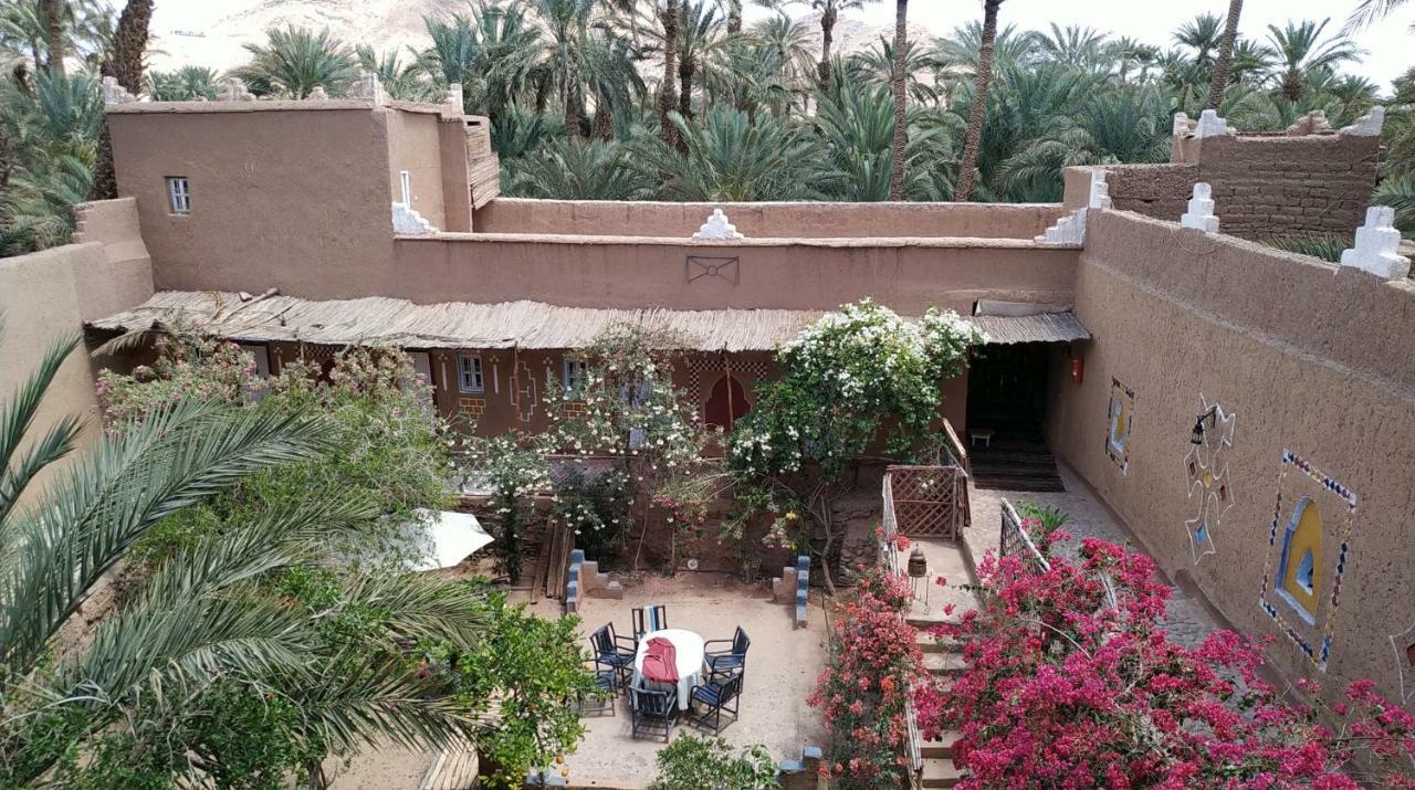 Riad Dar Zaouia ซากอร่า ภายนอก รูปภาพ